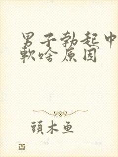 男子勃起中途变软啥原因