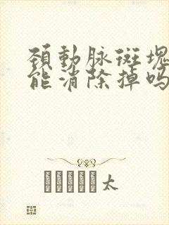 颈动脉斑块中医能消除掉吗