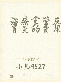 治疗食管反流性胃炎的费用