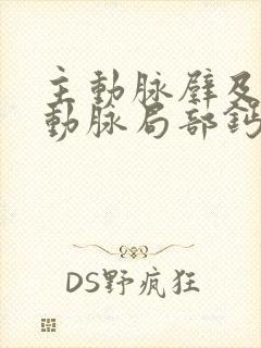 主动脉壁及冠状动脉局部钙化