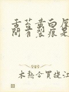 舌苔黄白厚腻中间有裂痕是什么原因?