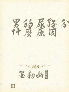 男的尿路分叉是什么原因