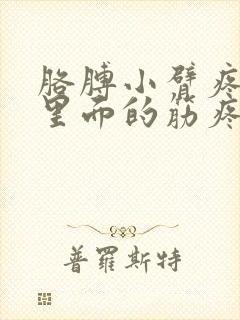 胳膊小臂疼感觉里面的筋疼怎么回事