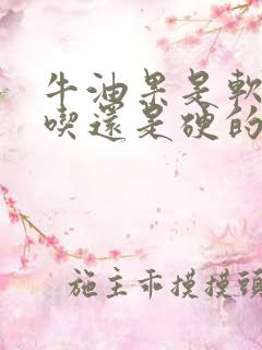 牛油果是软的好吃还是硬的好吃