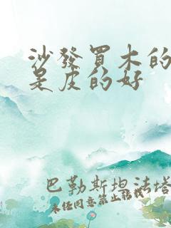 沙发买木的好还是皮的好