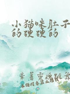 小猫咪肚子鼓鼓的硬硬的