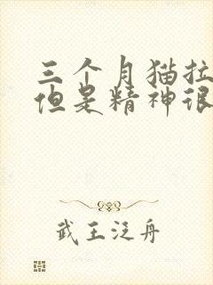 三个月猫拉软便但是精神很好