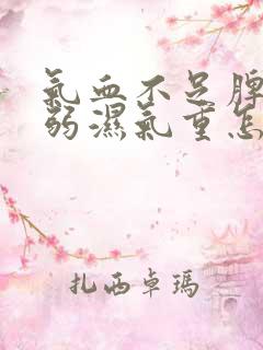 气血不足脾胃虚弱湿气重怎么调理