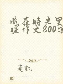 藏在时光里的温暖作文800字初中