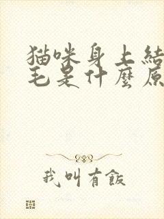 猫咪身上结痂掉毛是什么原因