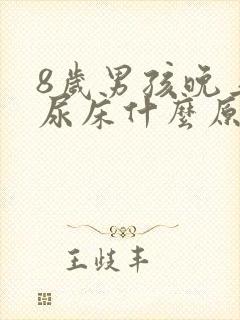 8岁男孩晚上总尿床什么原因