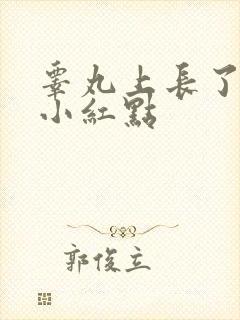 睾丸上长了很多小红点