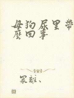 母狗尿里带血怎么回事