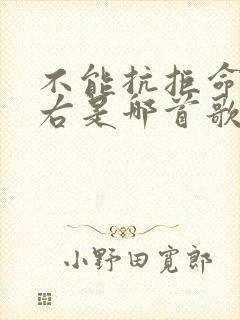 不能抗拒命运左右是哪首歌的歌词