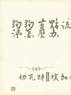 狗狗有点流黄鼻涕怎么办