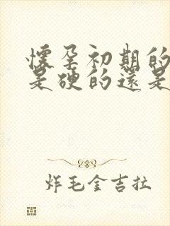 怀孕初期的肚子是硬的还是软的