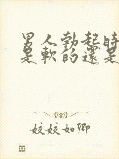 男人勃起时龟头是软的还是硬的