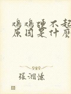 鸡鸡硬不起来的原因是什么