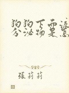 狗狗下面流白色分泌物是怎么回事