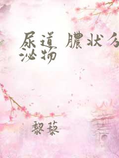 尿道 脓状分分泌物