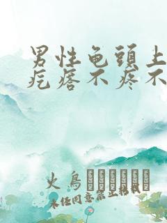 男性龟头上白色疙瘩不疼不痒