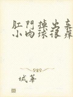 肛门掉出来一个小肉球很痒