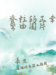 脊柱的正常生理弯曲图片