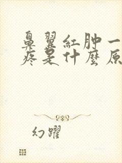 鼻翼红肿一碰就疼是什么原因