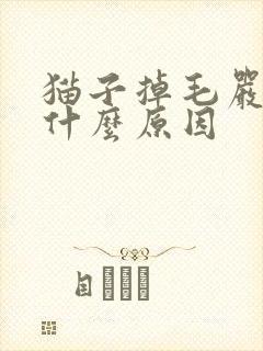 猫子掉毛严重是什么原因