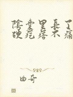 阴囊里长了个小硬疙瘩不痛不痒