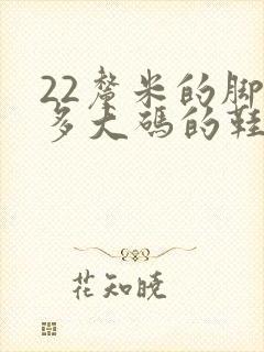 22厘米的脚穿多大码的鞋