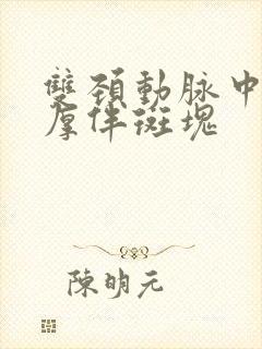 双颈动脉中膜增厚伴斑块