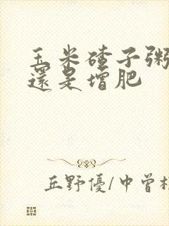 玉米碴子粥减肥还是增肥