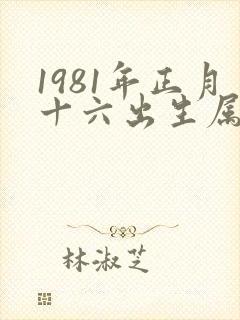 1981年正月十六出生属鸡的命运