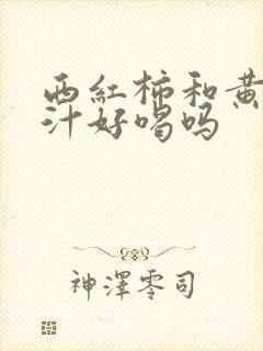 西红柿和黄瓜榨汁好喝吗