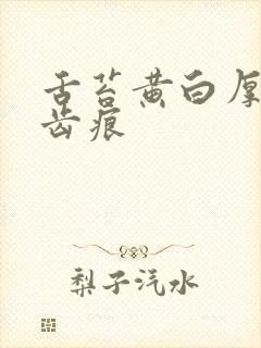 舌苔黄白厚腻有齿痕