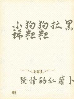 小狗狗拉黑色的稀粑粑