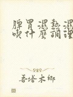 脾胃湿热湿气重吃什么调理