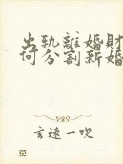 出轨离婚财产如何分割新婚姻法