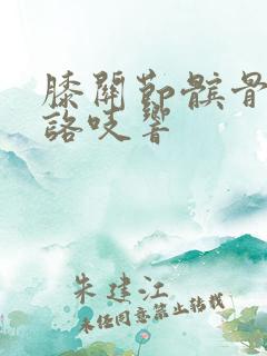 膝关节髌骨屈伸咯吱响