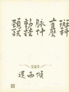 颈动脉有斑块应该挂什么科