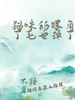 猫咪的眼角边烂了毛也掉了