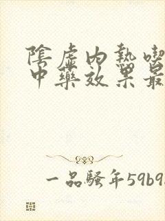 阴虚内热吃什么中药效果最好