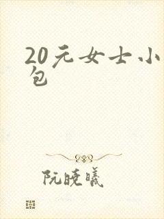 20元女士小包包