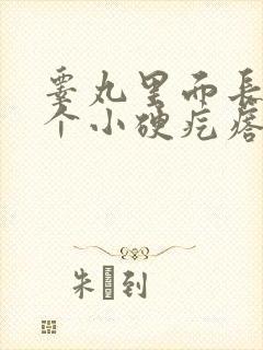 睾丸里面长了一个小硬疙瘩