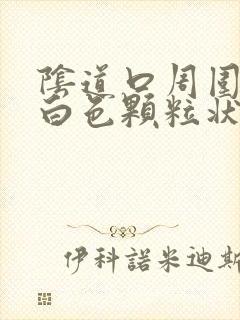 阴道口周围出现白色颗粒状