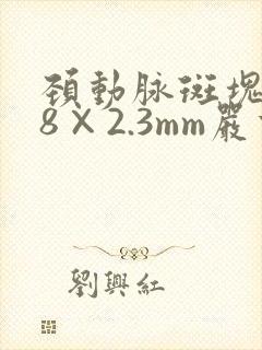 颈动脉斑块7.8×2.3mm严重吗