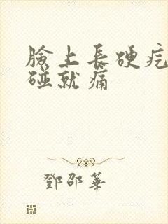 脸上长硬疙瘩一碰就痛