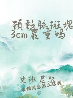 颈动脉斑块1.3cm严重吗