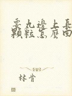 睾丸边上长小肉颗粒怎么回事